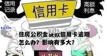 公务信用卡透支导致房贷期还款的困境与解决策略