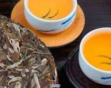 陈年老普洱茶泡法，怎么泡才好喝？