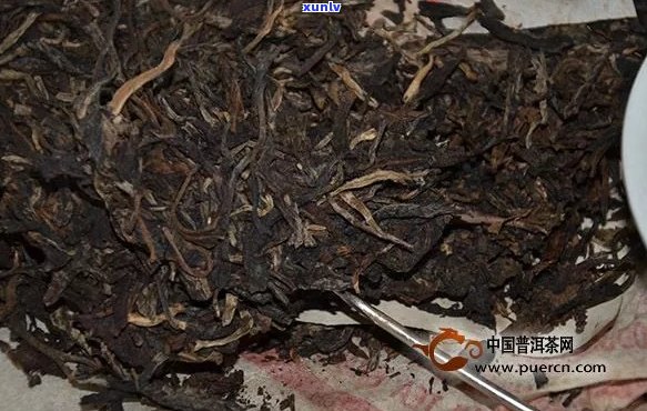 陈年老普洱茶怎么泡