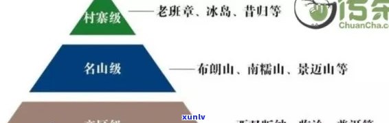 七级普洱茶什么档次：解析普洱茶七级品质及市场定位