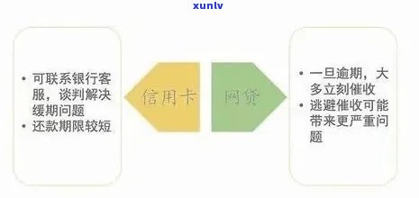 信用卡逾期还款问题全面解析：律师催款、利息计算以及如何解决逾期困境