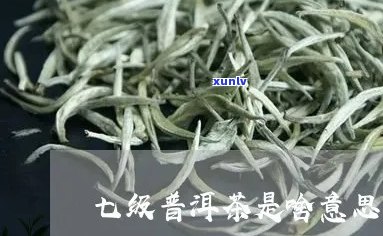 七级普洱茶代表什么