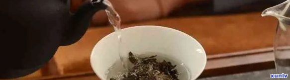 普洱茶醒茶与品质的关系：你真的需要醒茶吗？