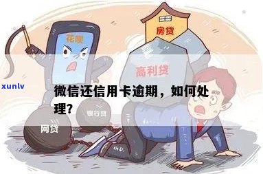 信用卡逾期后微信提醒如何处理？