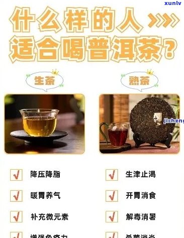 普洱茶润喉：如何正确饮用与功效，缓解喉咙不适的全方位指南