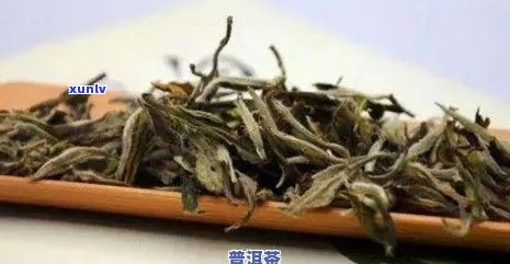 普洱茶是皇上喝的吗？为什么普洱茶被称为茶皇，与公主有关吗？