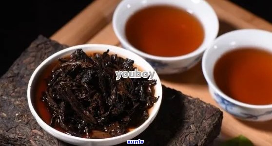 探索普洱茶块：一步一步教你轻松享用这款醇厚口感的茶叶