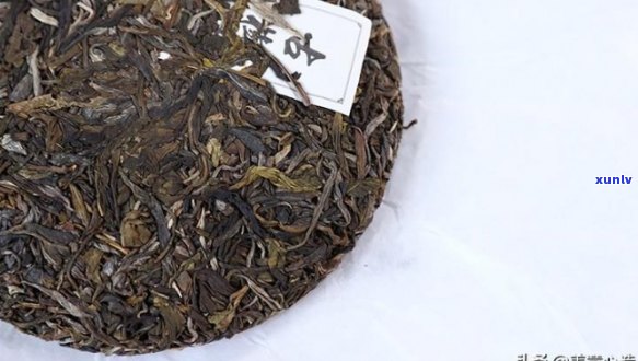 探索普洱茶块：一步一步教你轻松享用这款醇厚口感的茶叶