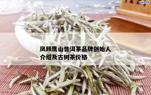 凤顾鹰山普洱茶报价