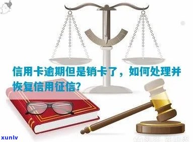 逾期信用卡处理策略：注销还是修复信用？