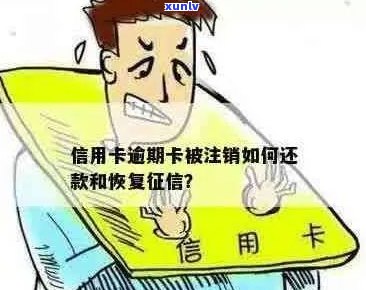 逾期信用卡处理策略：注销还是修复信用？