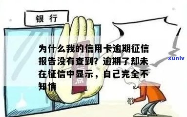 为什么我的信用卡逾期报告没有查到：原因与解答