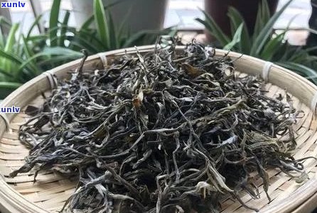 磨烈古树普洱茶特点：醇厚口感，独特韵味，陈化潜力大