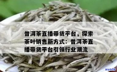 普洱茶直播带货话术模板与销量排名：打造高效直播带货策略