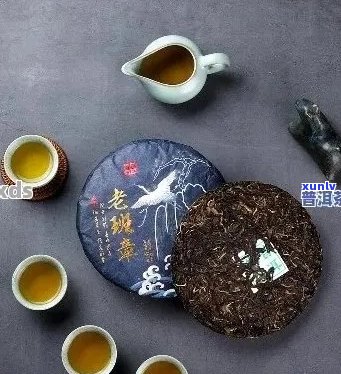 探索抖音普洱茶：了解其类目、品质与口感，助您成为品茗达人