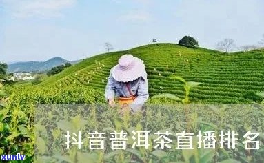 普洱茶抖音电商会议