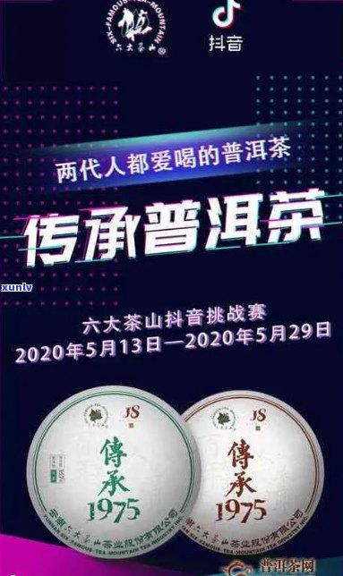 探索抖音普洱茶：了解其类目、品质与口感，助您成为品茗达人