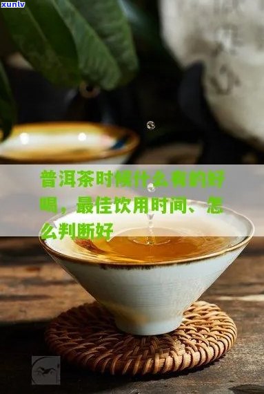 小桔普洱茶：好喝的持续时间以及如何判断茶叶品质？