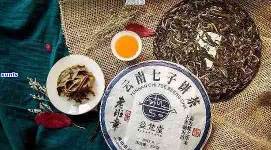 普洱茶名扬四海，独具酽醇风味，京城人更爱之选