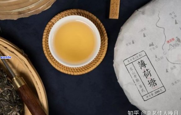 普洱茶名扬四海，独具酽醇风味，京城人更爱之选