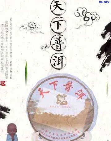 普洱茶名遍天下味最