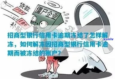 信用卡逾期账户冻结解冻过程详解，相关操作指南与影响分析