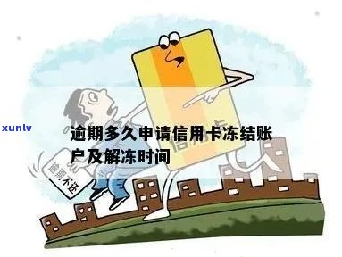 信用卡逾期还款账户被冻结后如何解冻：解决 *** 、影响与预防建议