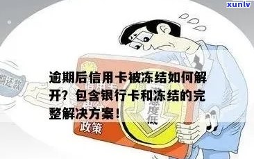 信用卡逾期还款账户被冻结后如何解冻：解决 *** 、影响与预防建议