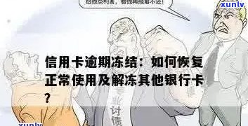 逾期信用卡被冻结如何恢复？解决方案与步骤一览