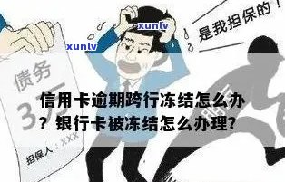 因信用卡逾期冻结银行卡怎么办