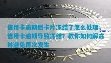 逾期后信用卡被冻结？如何解冻、恢复信用及避免类似问题再次发生