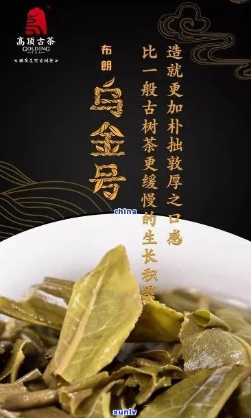 乌金号熟茶的优势解析：品质、口感、工艺等全方位详解