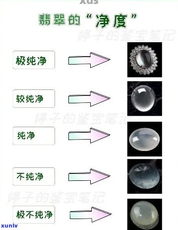 翡翠什么是净货：包括种类与品质详解