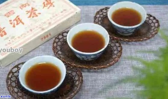 普洱茶那里你回好