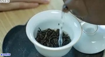 普洱茶过滤网目数选择：标准和建议