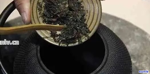 普洱茶用多细的滤网