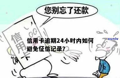 信用卡账单逾期不到24小时，如何补救和避免影响信用？