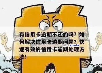 信用卡账单逾期不到24小时，如何补救和避免影响信用？