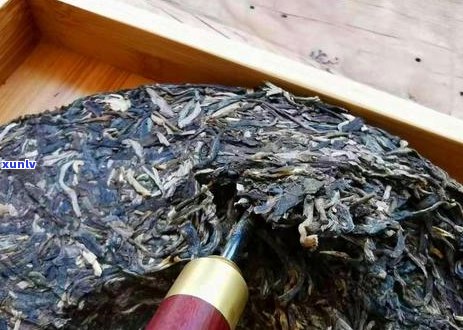 成都普洱茶店：品鉴高品质普洱茶、了解茶叶知识与泡法的全方位茶叶体验中心