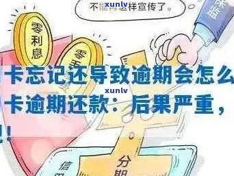 信用卡逾期还款攻略：如何避免被骗并解决逾期问题