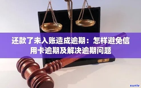 信用卡逾期还款攻略：如何避免被骗并解决逾期问题