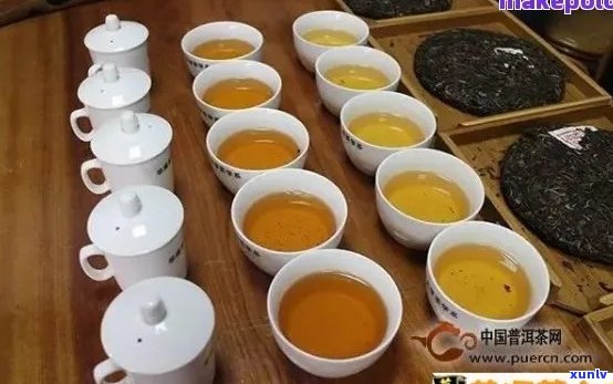 多美普洱茶：品茗艺术与科学搭配的全方位指南