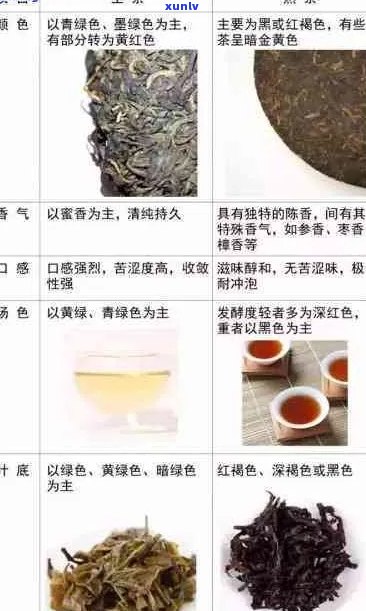 多美谱洱茶：品种、产地、口感、功效、冲泡 *** 及品鉴指南一应俱全