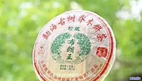 布朗王普洱茶生茶价格2007,357克：2012年与熟茶多少钱？