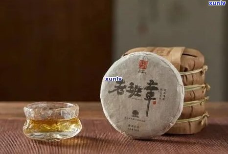 大益普洱茶新品上市：一款全面满足您口味、功效与收藏需求的高品质茶品