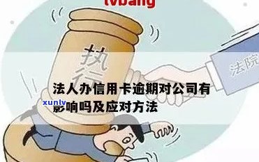 信用卡欠款是否会影响成为公司法人？解答您的疑虑与可能的影响