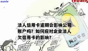 信用卡欠款是否会影响成为公司法人？解答您的疑虑与可能的影响