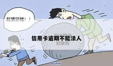 信用卡逾期不能当法人