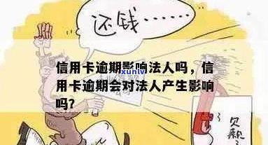 信用卡逾期不能当法人