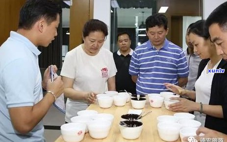 普洱茶的独特风味：探寻其多样化的口感和原因